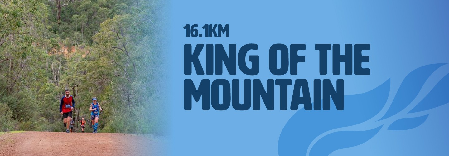 King of the Mountain banner