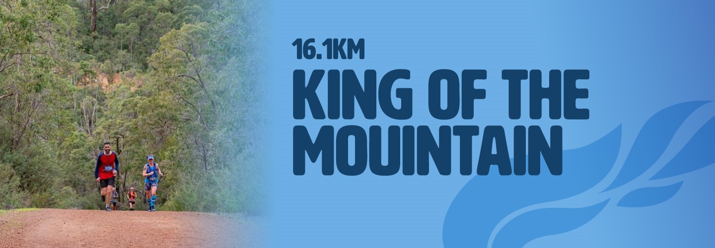 King of the Mountain banner